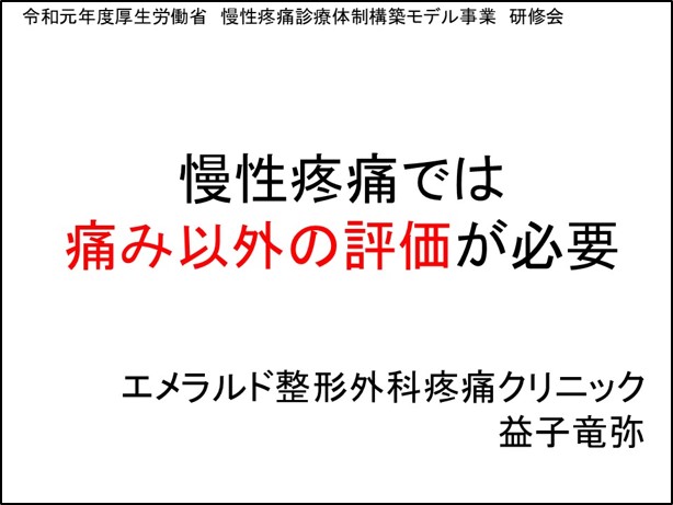 令和元年度厚生労働省　慢性疼痛診療体制構築モデル事業　研修会